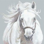 (image for) Percheron Mare
